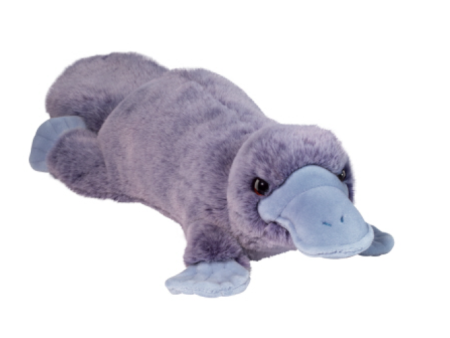 Allie Platypus Plush Fashion