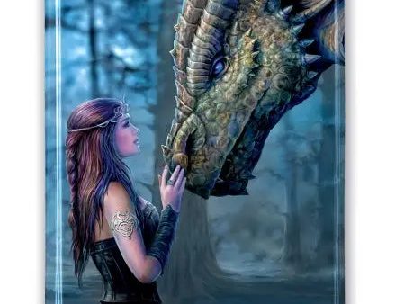 Anne Stokes: Journal - Once Upon a Time Sale